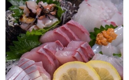 (1316)刺身 刺身盛り合わせ 「旬のお刺身盛り合わせ」 仙崎 地魚 5～6人前 冷蔵 新鮮 配達不可エリア有り 新潟 東北 北海道 沖縄 配達不可 配送日時指定可能 