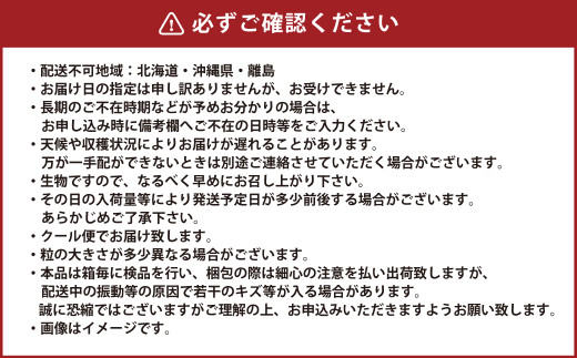 岡山県産 シャインマスカット「晴王」とニューピオーネ 2Lサイズ 計約1kg 【2026年8月下旬～9月下旬迄発送予定】 くだもの フルーツ 詰め合わせ ぶどう
