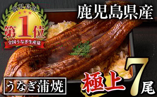 無投薬！鹿児島県産うなぎ蒲焼セット＜極上＞(計1.3kg以上・ 185g以上×7尾) タレ・山椒付き 鰻 ウナギ 国産【西日本養鰻】D30-v01