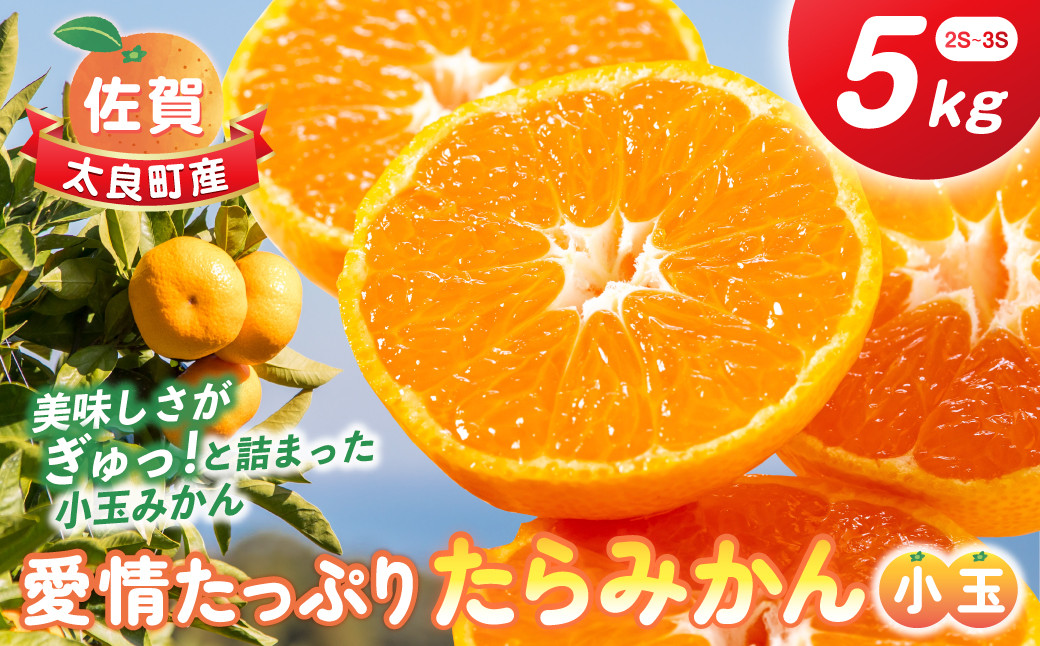
            愛情たっぷりたらみかん（小玉）5kg　みかん ミカン 蜜柑 たらみかん 太良みかん 温州みかん 完熟みかん 甘熟 柑橘 国産 佐賀県産 太良町 こだわり 有機栽培 産地直送 贈答品 詰め合わせ 極甘 小玉 L126
          