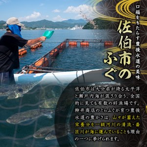 とらふぐ 詰合せ テッポウ (とらふぐ皮和 中華風ピクルス 150g・皮いいキムチ 80g・皮そーめん・250g) とらふぐ ふぐ フグ 皮 キムチ おつまみ 冷凍 国産 大分県 佐伯市【AB90】【