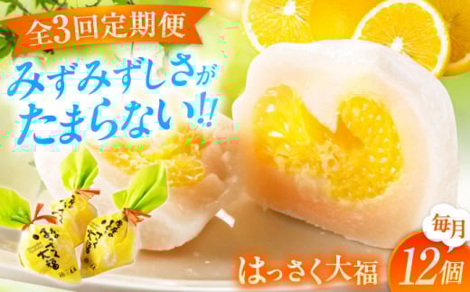 【3回定期便】お菓子 はっさく大福12個入 お菓子 大福 八朔 柑橘 みかん オレンジ 餅 ギフト お取り寄せ スイーツ フルーツ大福 ご当地 菓子 おかし デザート 食品 人気 おすすめ 広島県福山市/株式会社虎屋本舗 [BADH014]