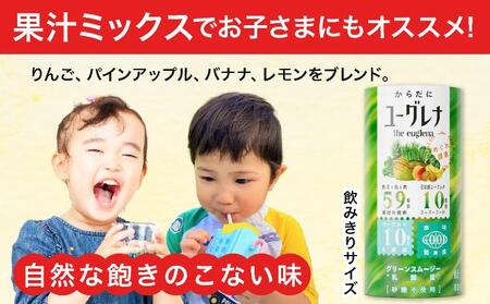 【定期便】《3ヶ月》からだにユーグレナ グリーンスムージー乳酸菌 (195g×15本×3回) | ユーグレナ スムージー 健康飲料 乳酸菌飲料 健康 栄養 栄養価 ふるさと 沖縄県 沖縄 石垣 石垣島