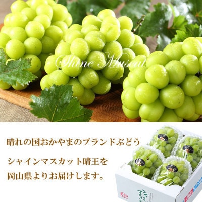 【2024年7月上旬より発送】岡山県産　シャインマスカット　晴王　1.5kg(3房〜6房)【配送不可地域：離島・北海道・沖縄県】【1366008】