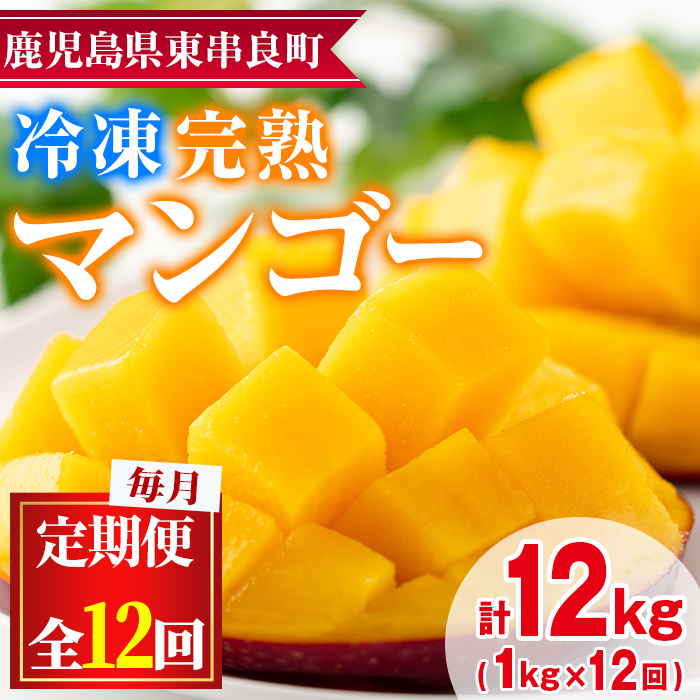 【156951】＜定期便・全12回(連続)＞鹿児島県産！南国の恵み！丸ごと冷凍完熟マンゴー(1kg×12回)果物 フルーツ 果実 冷凍 デザート 国産【甘宮】