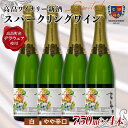 【ふるさと納税】高畠ワイナリー 新酒 スパークリングワイン 750ml×4本 （2024年10月上旬より発送予定） 白ワイン やや辛口 デラウェア 山形県 高畠町 F20B-638