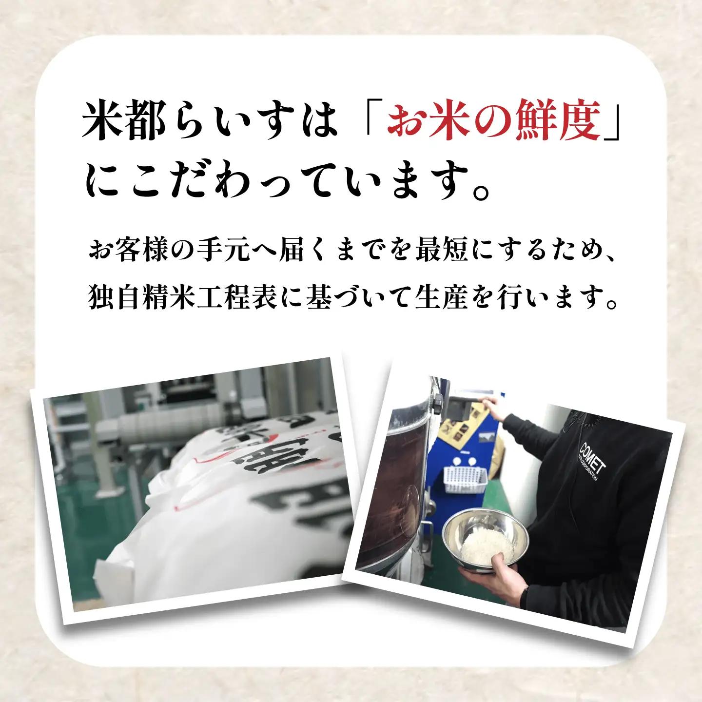 【3回定期便】 菊鹿 棚田米 20kg 【ミヤタ 株式会社 】熊本棚田米 白米 ごはん 米 お米 ご飯 [ZAH012]