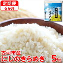 【ふるさと納税】【定期便 6か月】【新米】令和6年産 古河市産にじのきらめき 5kg｜米 コメ こめ ごはん ご飯 ゴハン 白飯 単一米 国産 にじのきらめき にじきら 5kg 茨城県 古河市 定期便 6ヶ月 6回 茨城県 古河市 おいしい 定番 _DP41