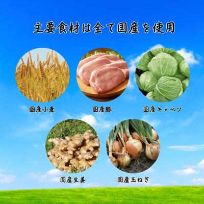 ふるさと納税 草津市 手包み生姜餃子　12個入り |  | 03