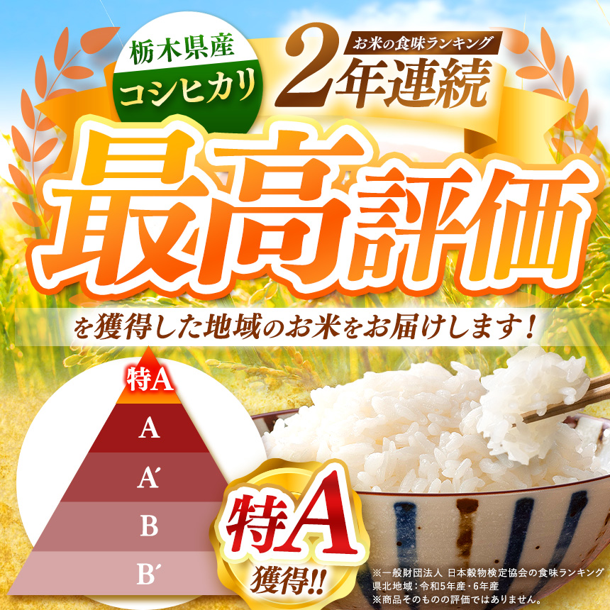 【先行予約】【定期便3回】 ＼無洗米／ 栃木県産コシヒカリ 2kg | 真岡市産 コシヒカリ 銘柄 お米 米 おにぎり おむすび ふるさと納税 栃木県 真岡市 送料無料 【定期便3回】【無洗米】コシヒ
