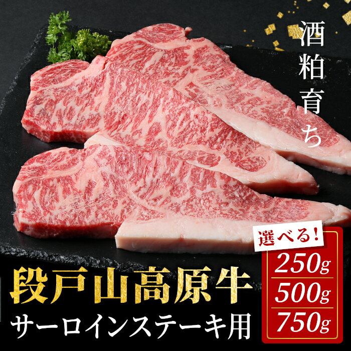 【ふるさと納税】国産牛 段戸山高原牛 サーロインステーキ 250g 500g 750g 1枚 2枚 3枚 国産牛 選べる 内容量 国産 牛肉 牛 サーロイン ステーキ ステーキ 高級部位 日本酒 バーベキュー 肉 厳選 人気 厚切り 赤身 数量限定 キャンプ 10000円 10,000円 10000 -075
