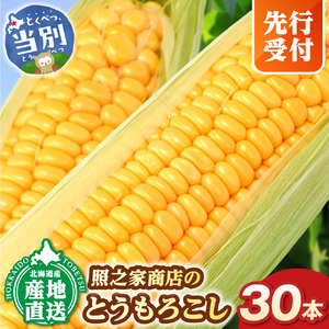 【2026年先行予約】照之家商店 鮮度抜群とうもろこし30本 北海道産トウモロコシ