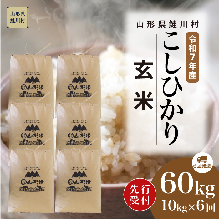 ＜令和7年産米先行受付＞ 鮭川村産 こしひかり 【玄米】60kg定期便(10kg×6回)　配送時期指定できます！