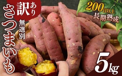 紅はるか【訳あり】長期熟成のさつまいも 5kg 扇屋商店｜紅はるか  国産 サツマイモ 薩摩芋 さつま芋 5kg ポテト 焼いも 焼き芋 焼芋 無添加 おやつ 自然食品 ねっとり 甘い 自然甘味 ひたちなか 茨城県