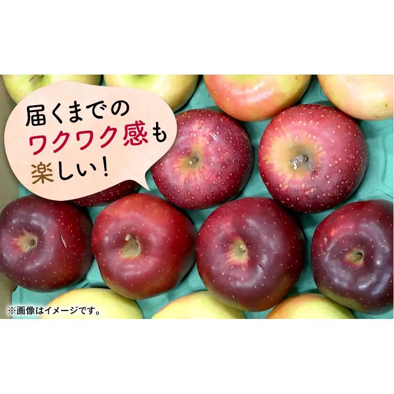 りんご 【12月発送】 家庭用 旬のりんご 品種おまかせ 約 5kg 2品種～4品種　リンゴ 林檎 青森りんご アップル おまかせ ランダム フルーツ 果物 デザート 旬 季節限定 産地直送 青森県産
