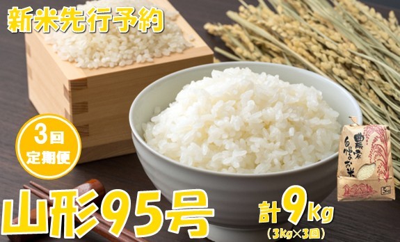 
                  【3回定期便】【令和８年産米 先行予約】山形95号　3kg　計9kg　佐藤
                
