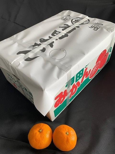 
有田みかん秀優品　5kg　混合（2S～L）サイズ
