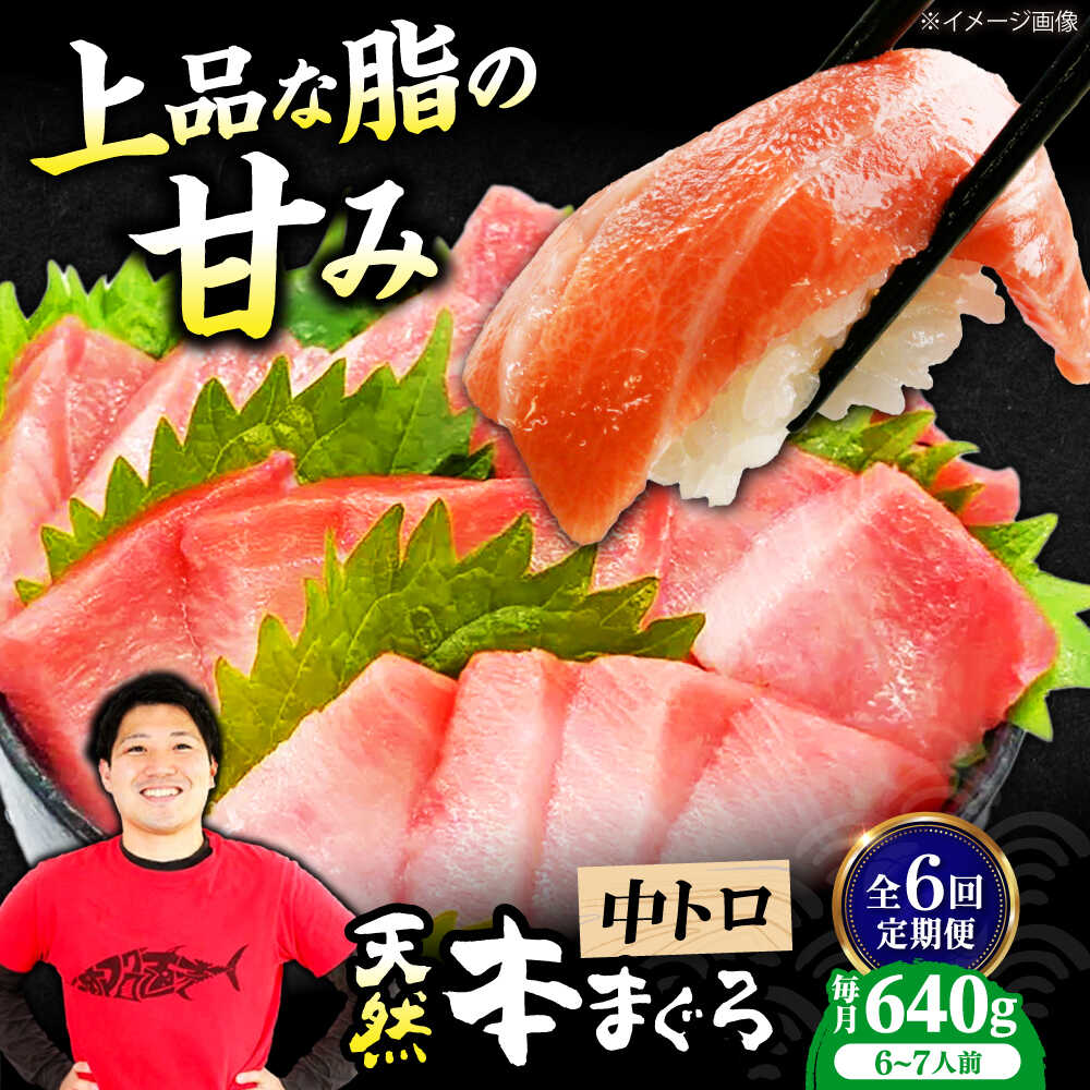 【ふるさと納税】【全6回定期便】極上！たね熟天然本まぐろ中トロ(640g) 天然 マグロ 鮪 中トロ 刺身 魚 魚介 大阪府高槻市/本まぐろ直売所[AOCE035]