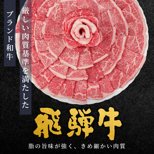 【最短発送】 飛騨牛 もも 焼肉 1kg(500g×2p) BBQ 赤身 小分け 肉のひぐち