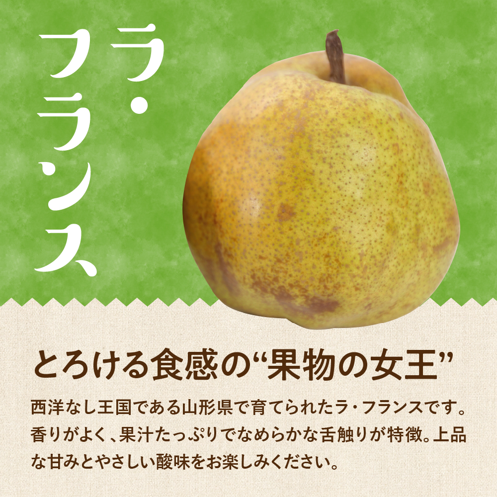 【令和7年産 先行予約】サンふじ&シナノゴールド＆ラフランス 詰め合わせ 3kg 山形県 東根市 東根農産センター提供 hi027-213-2