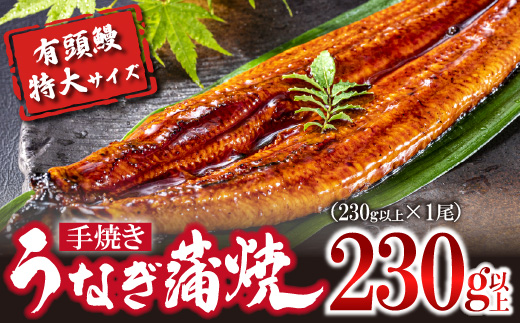 〈いろは〉特大サイズ 有頭うなぎ蒲焼 国産 1尾(230g以上) [M1022] ウナギ 鰻 炭火焼き 肉厚 うな重 ランキング 土用の丑の日 鹿児島県 人気 オススメ 宮若市