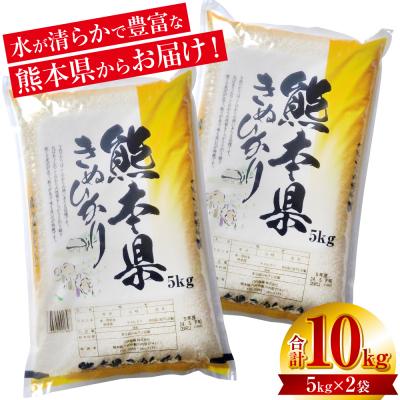 ふるさと納税 八代市 【令和7年産】  熊本県産 きぬひかり 10kg(5kg×2袋)_132-6049-C