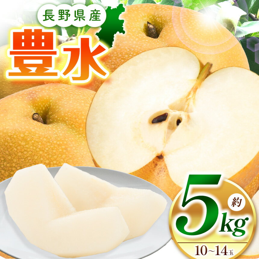 【ふるさと納税】【先行受付】豊水5kg（10～14玉）｜ふるさと納税 松本市 なし 梨 豊水 果物 果汁 農家 自然 ビタミン 地元 新鮮