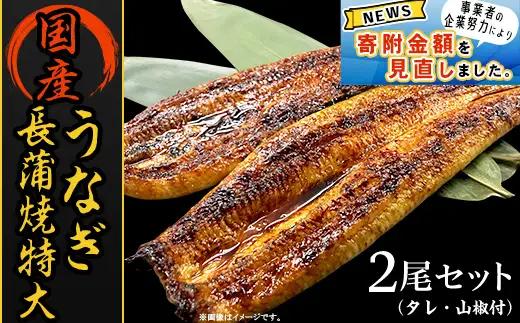 H7-93C国産うなぎ長蒲焼特大2尾セット（タレ・山椒付）