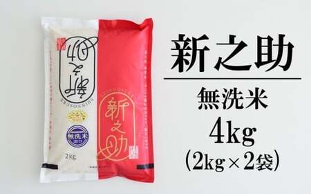 先行予約【令和7年産新米・10ヶ月定期便】新之助 無洗米 4kg（2kg×2袋）×10回（計 40kg）中村農研 [Y0541]