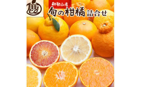 ＜1月より発送＞厳選 柑橘詰合せ 5kg+250g（傷み補償分）【有田の春みかん詰め合わせ・フルーツ詰め合せ・オレンジつめあわせ】【光センサー選別】/ みかん 果物 フルーツ 柑橘 おすすめ 和歌山【ikd160B】