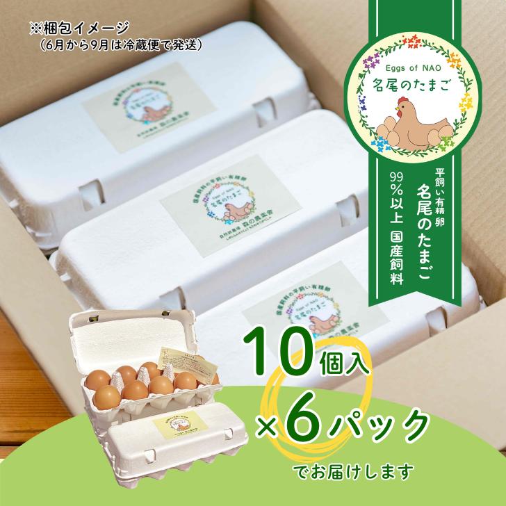 国産飼料の平飼い有精卵「名尾のたまご」60個入：B230-015_イメージ4