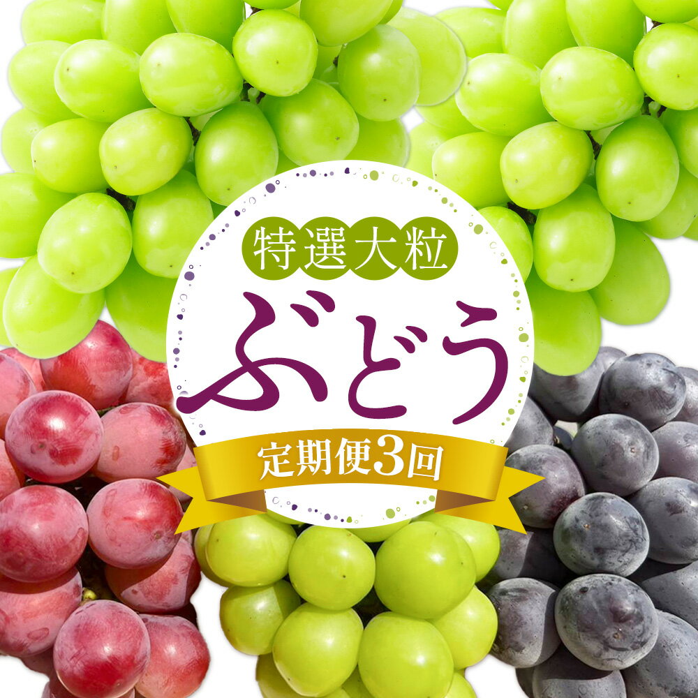 【ふるさと納税】特選 大粒 ぶどう 詰め合わせ定期便 3回 3ヶ月定期便 シャインマスカット ピオーネ クイーンニーナ 株式会社日本植生グループ本社 NISSHOKU FARM《9月下旬-12月末頃出荷》ブドウ 送料無料 岡山県 浅口市 【配送不可地域あり】 (離島)