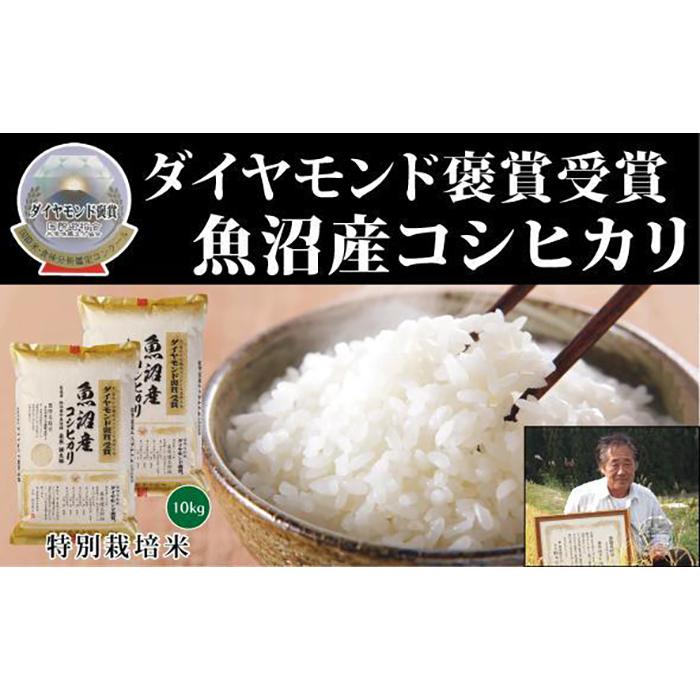 【ふるさと納税】【令和7年産】新米 最高級魚沼産 こしひかり 10kg（5kg×2袋） 選べる配送回数 ダイヤモンド褒賞受賞 特別栽培米 新潟県 津南町 コシヒカリ コメ 米 お米