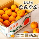 【ふるさと納税】2025年 屋久島産たんかん自家用(訳あり品) 約4.5kg(S～2Lサイズ・少々キズあり)＜先行予約／数量限定＞ | 鹿児島県 鹿児島 屋久島 お取り寄せ 取り寄せ ご当地 たんかん タンカン くだもの 果物 フルーツ 柑橘 かんきつ類 柑橘フルーツ 果実 国産