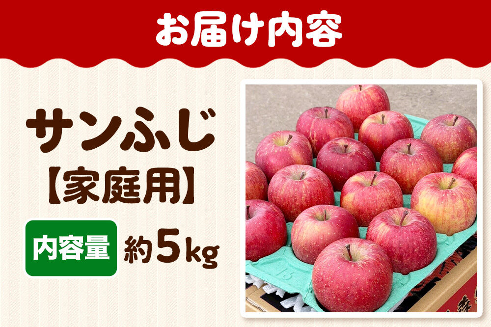 りんご サンふじ 約5kg【家庭用】林檎 リンゴ 果物 くだもの フルーツ 青森