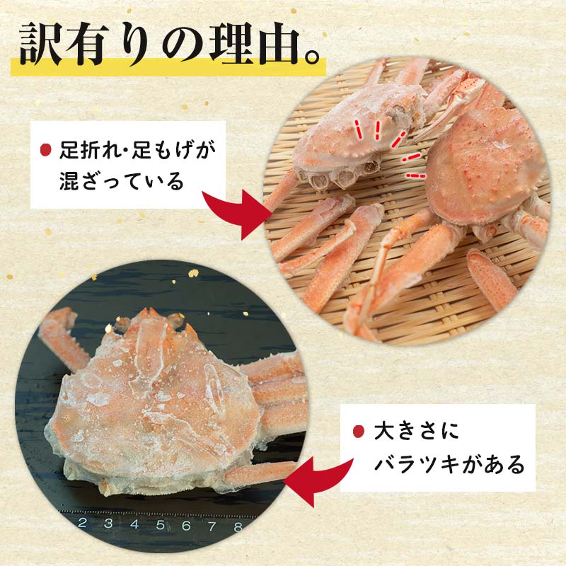 【訳あり】浜茹でセコガニ（メスのカニ/外子付き）2kg 詰め込みセット 北海道噴火湾産 ＜道産ネットミツハシ＞ かに カニ 蟹 がに 北海道 森町 ふるさと納税 mr1-0727_イメージ4