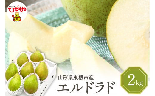 【令和7年産 先行予約】西洋梨エルドラド2kg　秀品　化粧箱入り 山形県 東根市 東根農産センター提供 hi027-198-1
