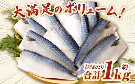 【5ヶ月定期便】【訳あり】国産 ふっくら 極み塩サバ 計約1kg ／ 1切れ 塩サバ 塩さば 塩鯖 さば サバ 鯖 魚