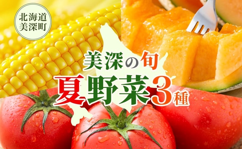 
                  【2026年発送】 美深の旬の夏野菜3種 （フルーツトマト・メロン・とうもろこし） 夏 野菜 旬 甘い 濃厚 果物 フルーツ 高糖度 新鮮 朝採れ もぎたて 産地直送 北海道 美深町 [№5894-0647]
                