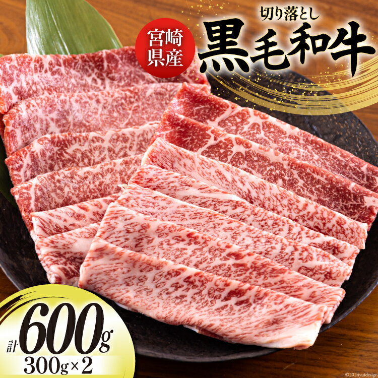 【ふるさと納税】宮崎県産 黒毛和牛 切り落とし 300g×2 計600g [日本ハムマーケティング 宮崎県 美郷町 31bd0013-NEW] 小分け モモ カタ バラ ミックス 冷凍 送料無料 国産 牛 肉 切落し 牛丼 肉じゃが しぐれ煮 煮込み 肩 普段使い 母の日 父の日 プレゼント ギフト 贈り物