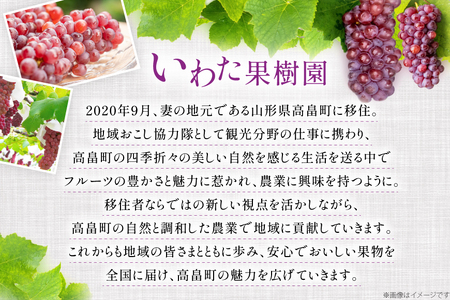 【期間限定発送】 ぶどう デラウェア 5～8房 約 1kg [いわた果樹園 山形県 高畠町 tk06ayt400003]