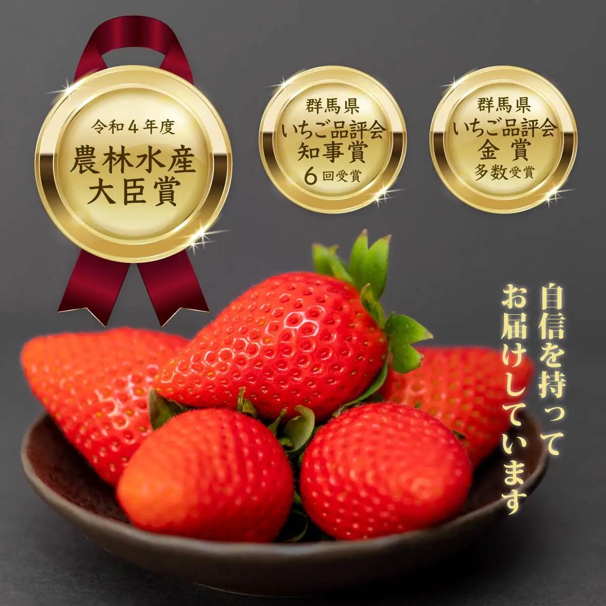 いちご 3～6品種 食べ比べ 計6パック いちご