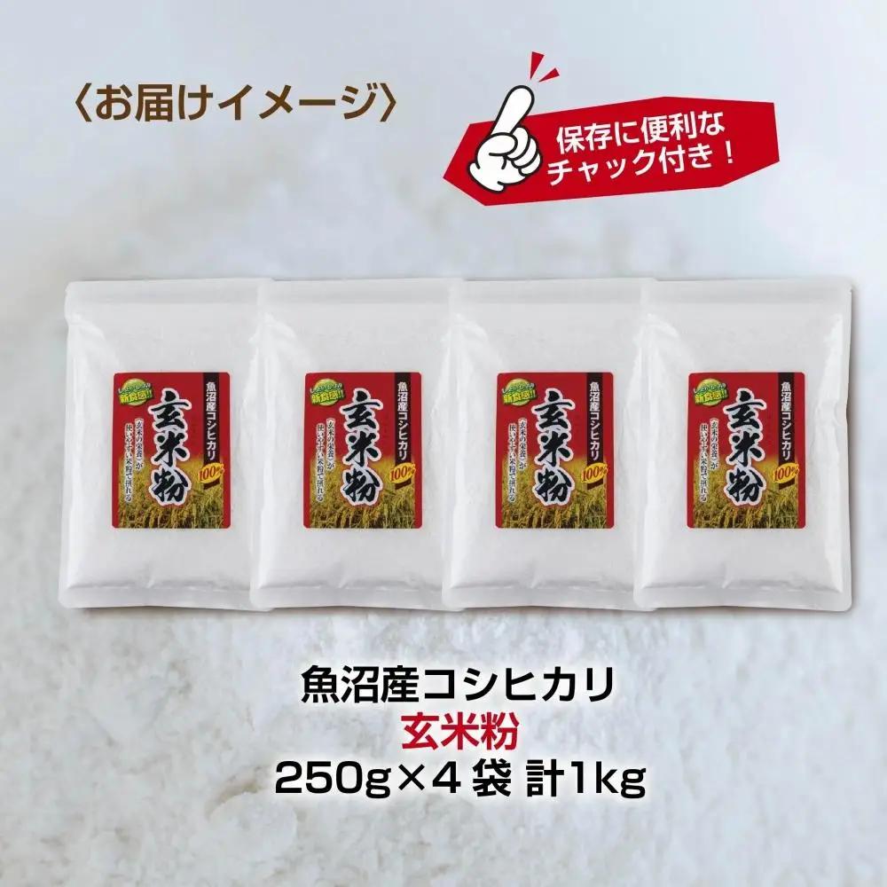 玄米粉 250g×4袋 計1kg 魚沼産 コシヒカリ 玄米 白米粉 グルテンフリー 小麦不使用 GABA アレルギー お取り寄せ パン ケーキ 菓子 ギフト 送料無料 コパフーズ 新潟県 南魚沼市