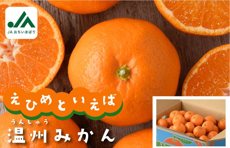 
            今治産 温州みかん 10kg 【KC00760】
          