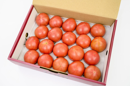 【先行予約】塩トマト 夢ロマン 約1kg 赤箱M～Sサイズ(12～20玉)【2026年3月下旬〜6月中旬頃発送予定】