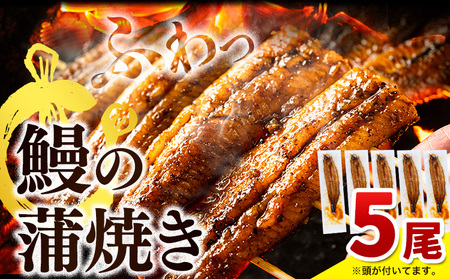 国産 鰻 鰻の蒲焼き うなぎ ウナギ うなぎの蒲焼き 5尾 《30日以内に出荷予定(土日祝除く)》｜ うなぎの蒲焼き鰻の蒲焼き鰻うなぎうなぎの蒲焼き鰻の蒲焼き鰻うなぎうなぎの蒲焼き鰻の蒲焼き鰻うなぎうなぎの蒲焼き鰻の蒲焼き鰻うなぎうなぎの蒲焼き鰻の蒲焼き鰻うなぎうなぎの蒲焼き鰻の蒲焼き鰻うなぎうなぎの蒲焼き鰻の蒲焼き鰻うなぎうなぎの蒲焼き鰻の蒲焼き鰻うなぎうなぎの蒲焼き鰻の蒲焼き鰻うなぎうなぎの蒲焼き鰻の蒲焼き鰻うなぎうなぎの蒲焼き鰻の蒲焼き鰻うなぎうなぎの蒲焼き鰻の蒲焼き鰻うなぎうなぎの蒲焼き鰻の蒲焼き鰻