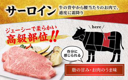 ＜A5ランク＞飛騨牛サーロインステーキ 200g×2枚【有限会社マルゴー】土岐市 岐阜産 肉 お肉 牛肉 国産 和牛 A5等級 霜降り レア 焼肉 鉄板焼き BBQ ステーキ用 バーベキュー ブロック