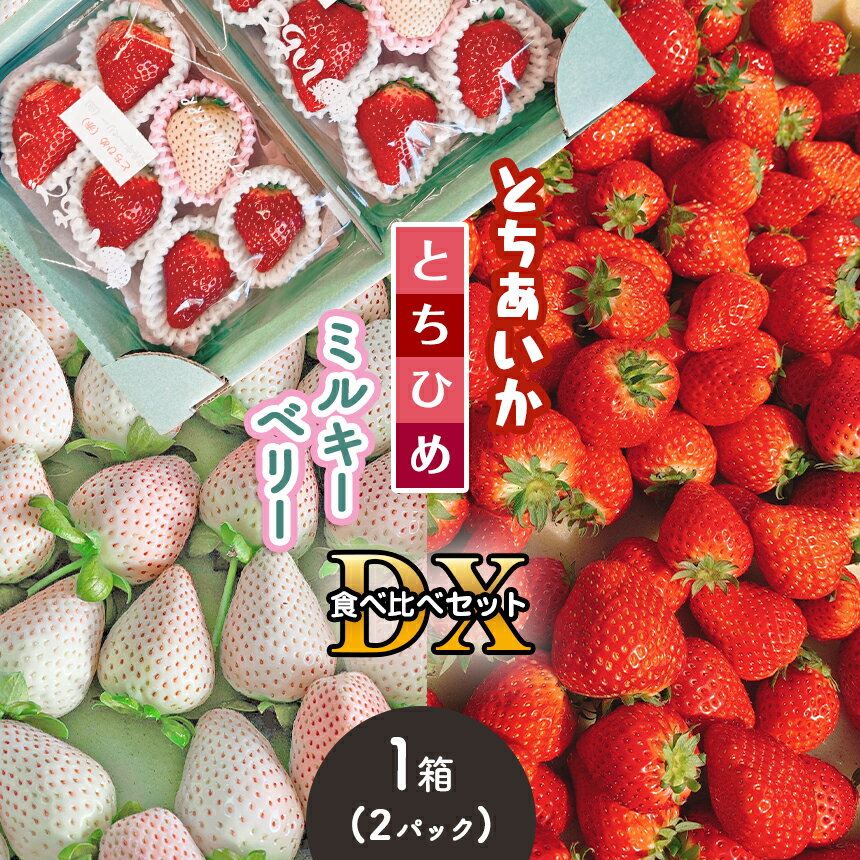 【ふるさと納税】とちあいか・とちひめ・ミルキーベリー食べ比べセット DX 〈期間限定〉2月 | テレビ 放送 苺 いちご とちあいか とちひめ ミルキーベリー パック 特産品 栃木県 真岡市 送料無料