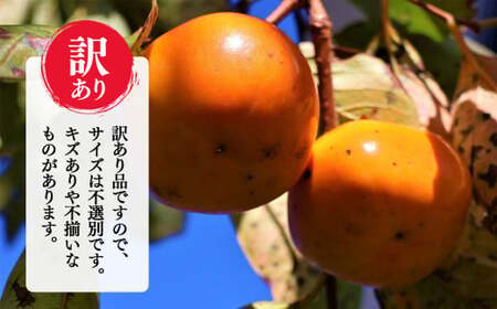 富有柿 訳あり 約7kg サイズMIX | フルーツ くだもの 果物 柿 かき カキ 富有柿 | 奈良県 五條市 