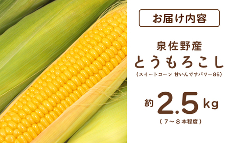 【先行予約】とうもろこし(甘いんですパワー85) 約2.5kg（7～8本）